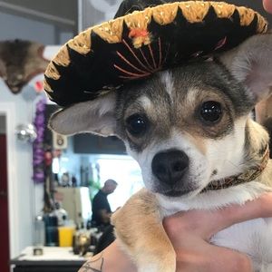 Meet your Posher, Max